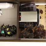 Apartment Grosen